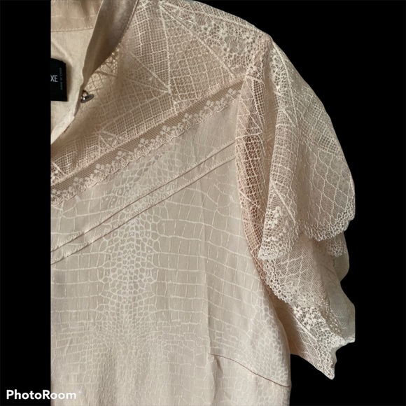 Zadig & Voltaire Pink Snake Pattern Silk Lace Dress - Picture 3 of 7